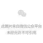 泵的管线设计 泵的管线设计